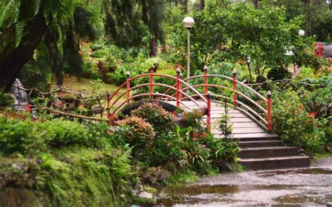 Mirador Heritage & Eco Park in Baguio City: Your Ultimate .